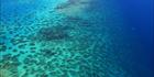 Great Barrier Reef SQ (PBH4 00 14828)